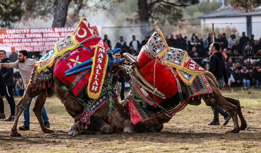 "Büyük Antrenman Güreşi" Pazar Günü!