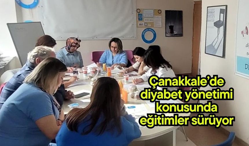 Çanakkale’de diyabet yönetimi konusunda eğitimler sürüyor