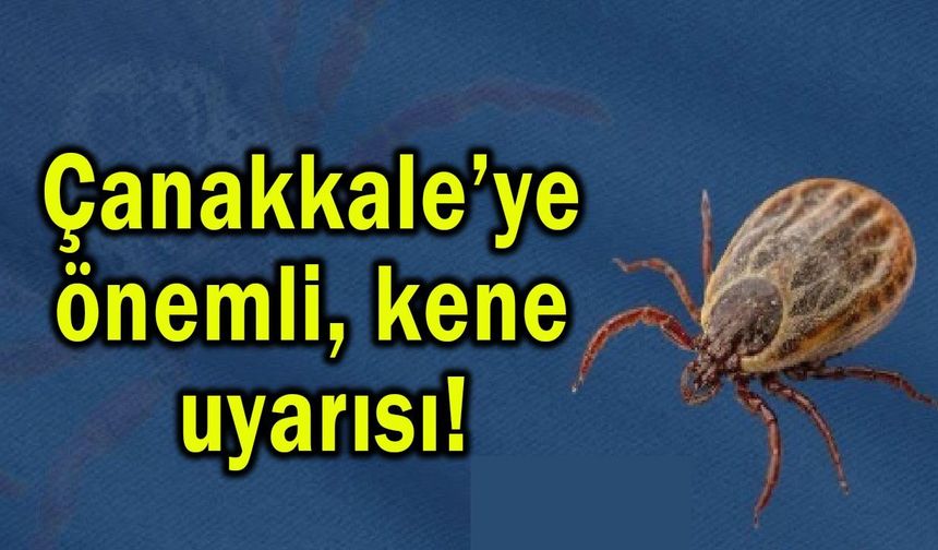 Çanakkale’ye önemli kene uyarısı!