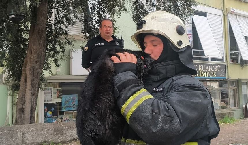 İtfaiye eri yangında dumandan etkilenen kediyi kalp masajı ile hayata döndürdü
