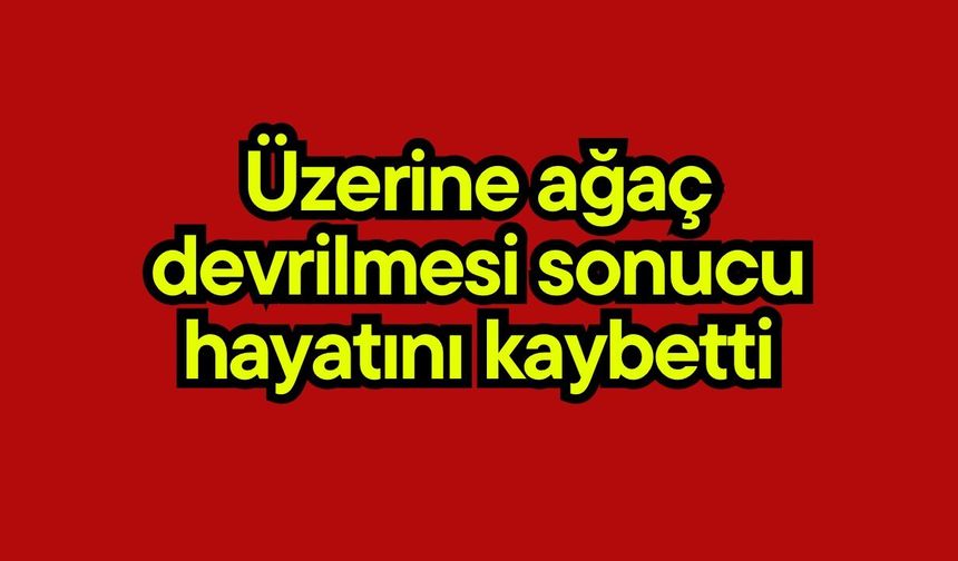 Üzerine ağaç devrilmesi sonucu hayatını kaybetti
