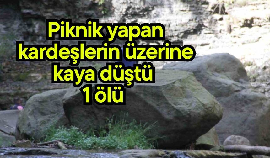 Piknik yapan kardeşlerin üzerine kaya düştü, 1 ölü