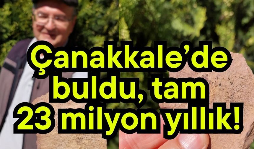 Çanakkale’de buldu, tam 23 milyon yıllık!