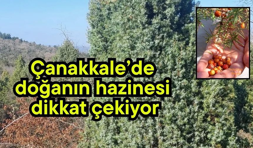 Çanakkale’de doğanın hazinesi dikkat çekiyor