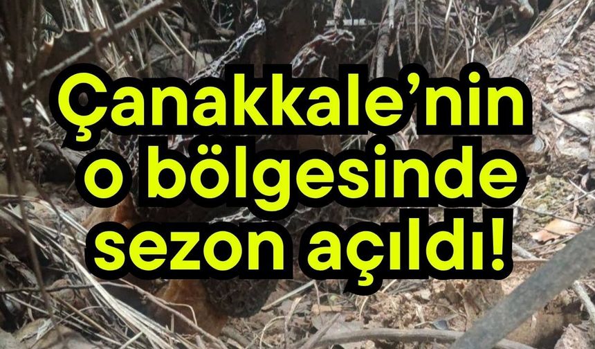Çanakkale’nin o bölgesinde sezon açıldı!