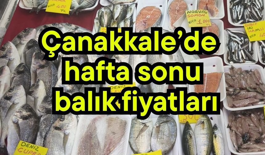 Çanakkale’de hafta sonu balık fiyatları