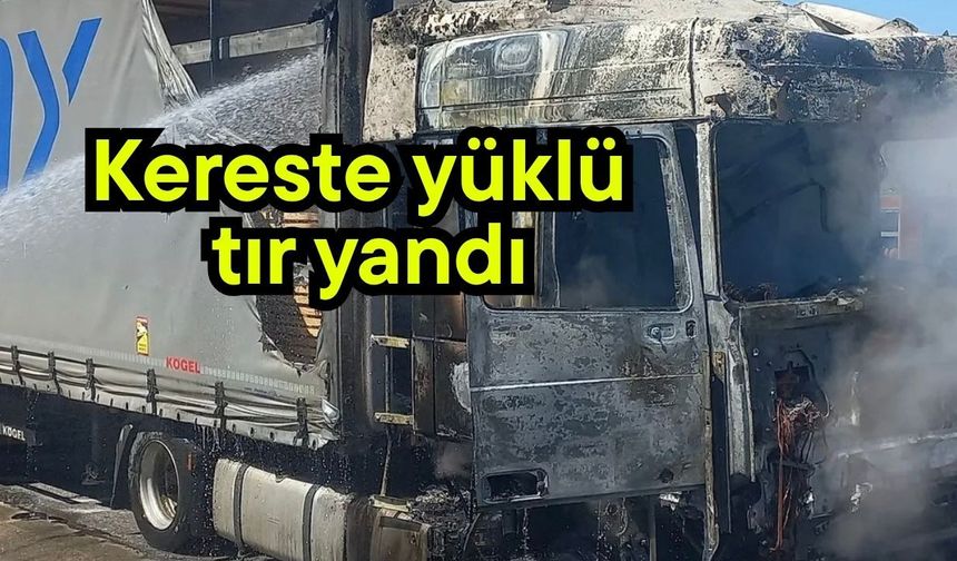 Kereste yüklü tır yandı