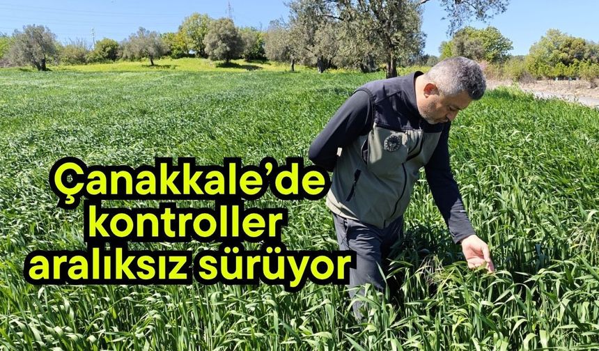 Çanakkale’de kontroller aralıksız sürüyor