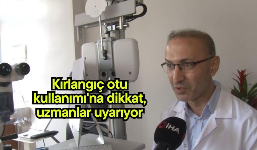 Kırlangıç otu kullanımı'na dikkat, uzmanlar uyarıyor (Video)