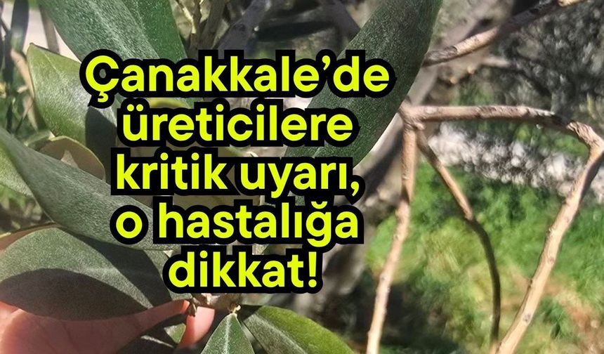 Çanakkale’de üreticilere kritik uyarı, o hastalığa dikkat!