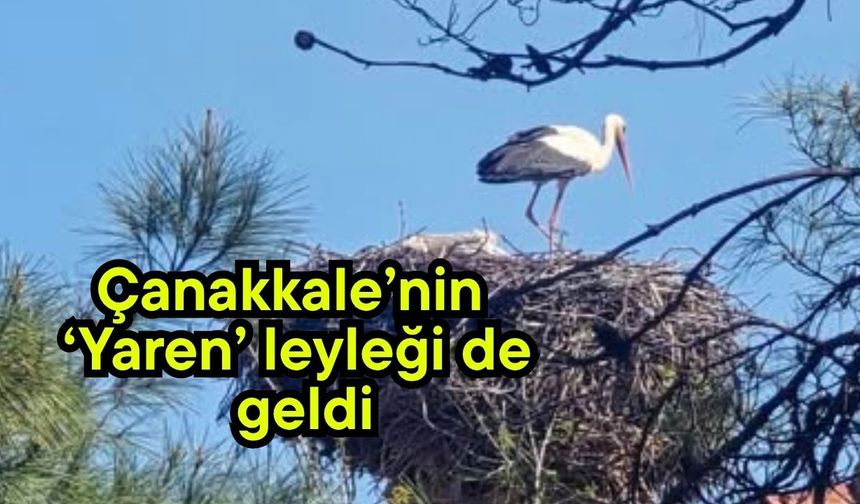 Çanakkale’nin ‘Yaren’ leyleği de geldi