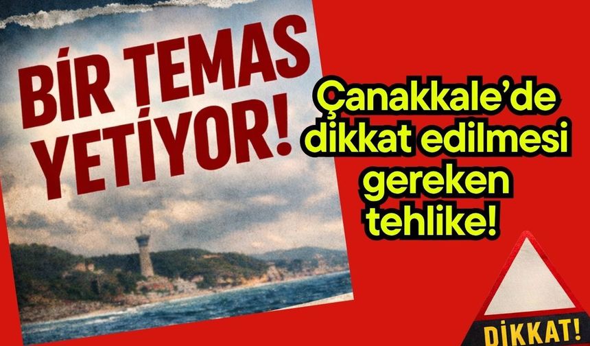 Çanakkale’de dikkat edilmesi gereken tehlike! Bir temas yetiyor