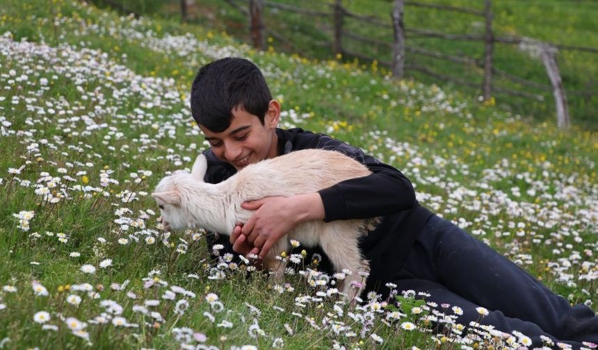 Çanakkale'de Çocuklara 50 Bin TL Ödüllü Proje (Video)