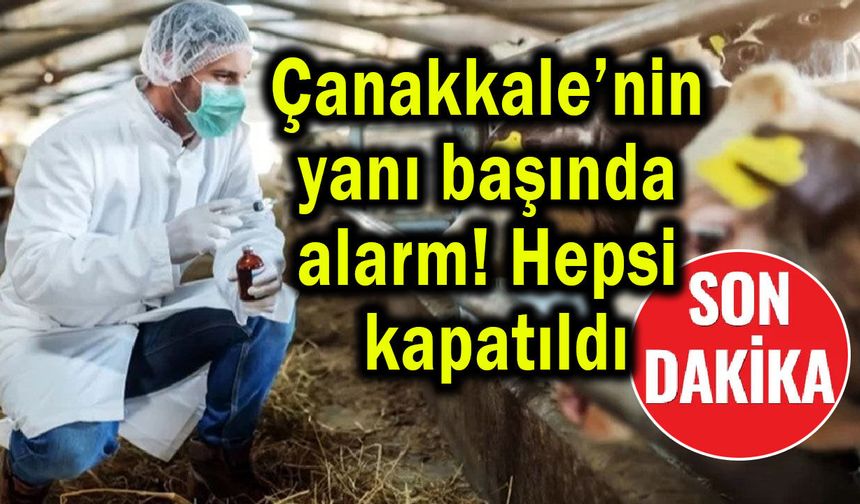 Çanakkale’nin yanı başında alarm! Hepsi kapatıldı