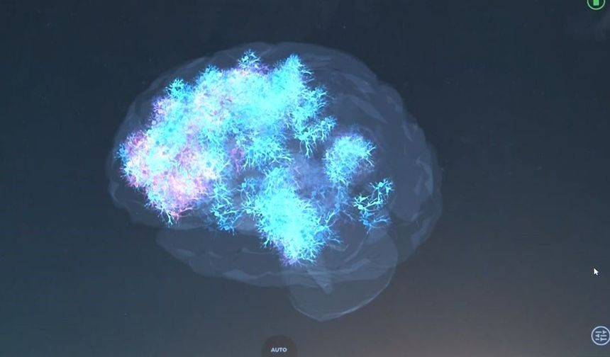 Sanal Şiddet Gerçeğe Dönüşüyor! (Video)