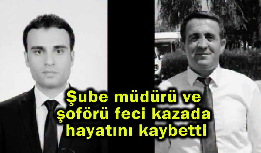 Şube müdürü ve şoförü feci kazada hayatını kaybetti