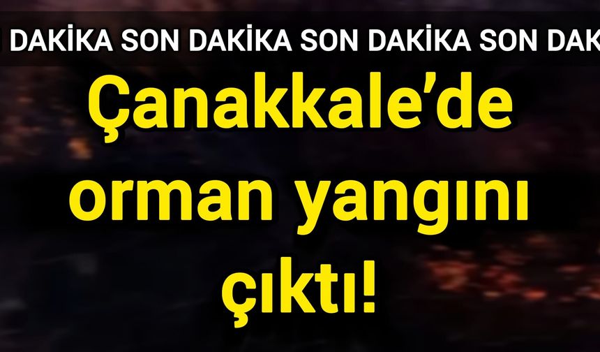 Çanakkale’de orman yangını çıktı!