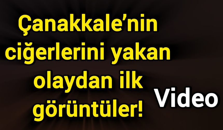 Çanakkale’nin ciğerlerini yakan olaydan ilk görüntüler!