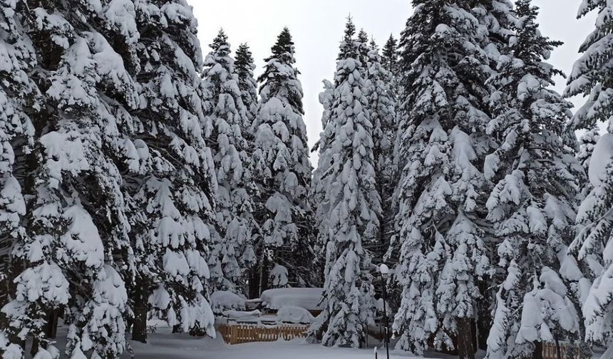 Kış geri dönüyor...Mayısta kar sürprizi yaşanacak