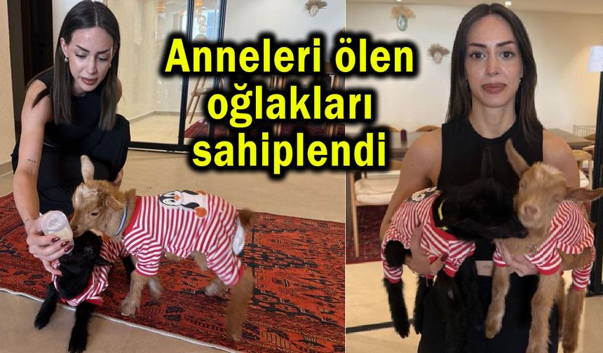 Anneleri ölen oğlakları sahiplendi (Video)