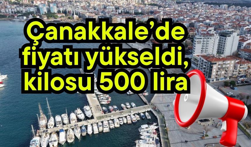 Çanakkale’de fiyatı yükseldi, kilosu 500 lira