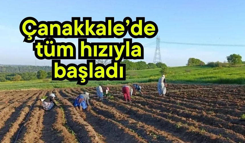 Çanakkale’de tüm hızıyla başladı