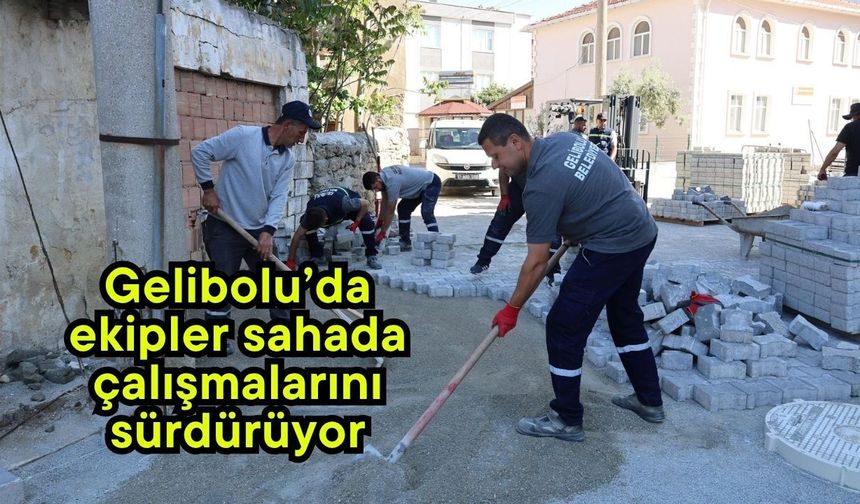 Gelibolu’da ekipler sahada çalışmalarını sürdürüyor