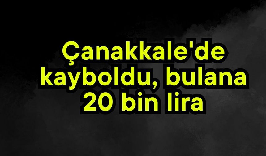 Çanakkale'de kayboldu, bulana 20 bin lira