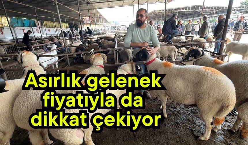 Asırlık gelenek fiyatıyla da dikkat çekiyor (Video)