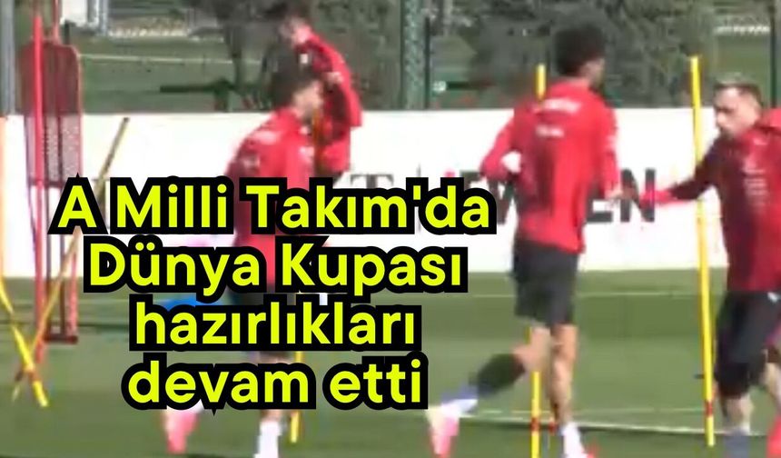 A Milli Takım'da Dünya Kupası hazırlıkları devam etti