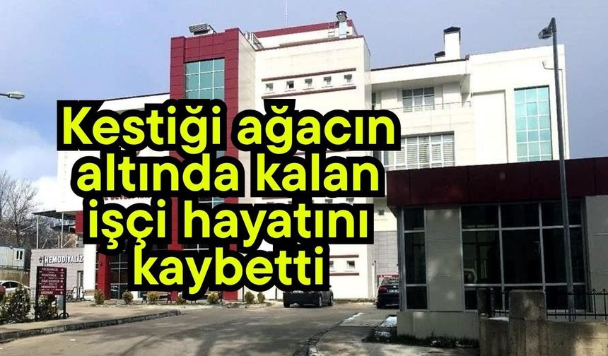 Kestiği ağacın altında kalan işçi hayatını kaybetti