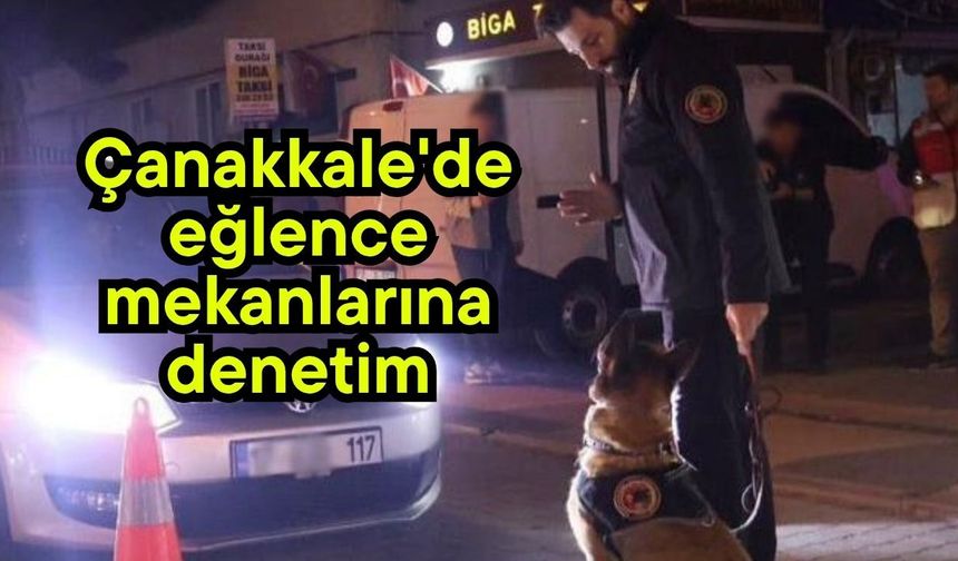 Çanakkale'de eğlence mekanlarına denetim