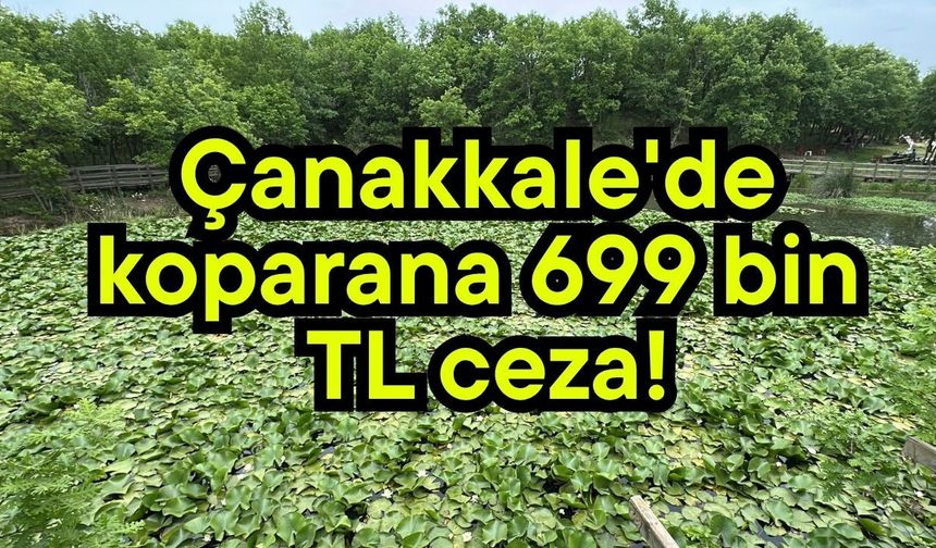 Çanakkale'de koparana 699 bin TL ceza! (Video)