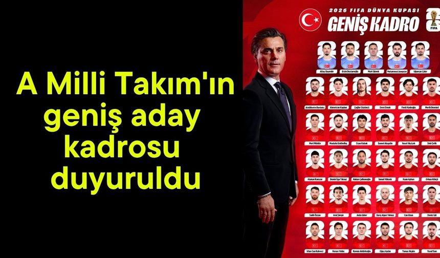 A Milli Takım'ın geniş aday kadrosu duyuruldu