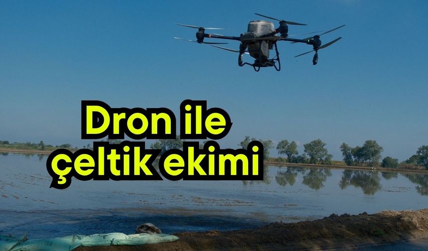 Dron ile çeltik ekimi (Video)