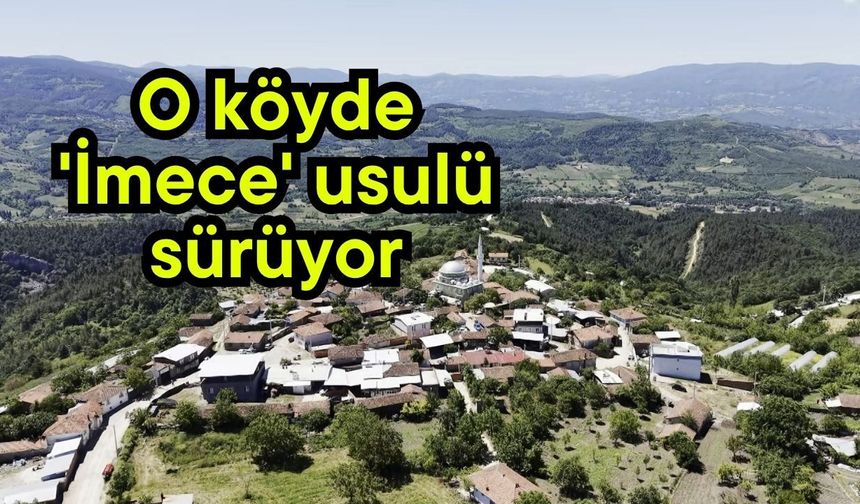 O köyde 'İmece' usulü sürüyor (Video)