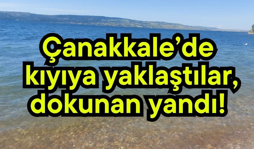 Çanakkale’de kıyıya yaklaştılar, dokunan yandı!