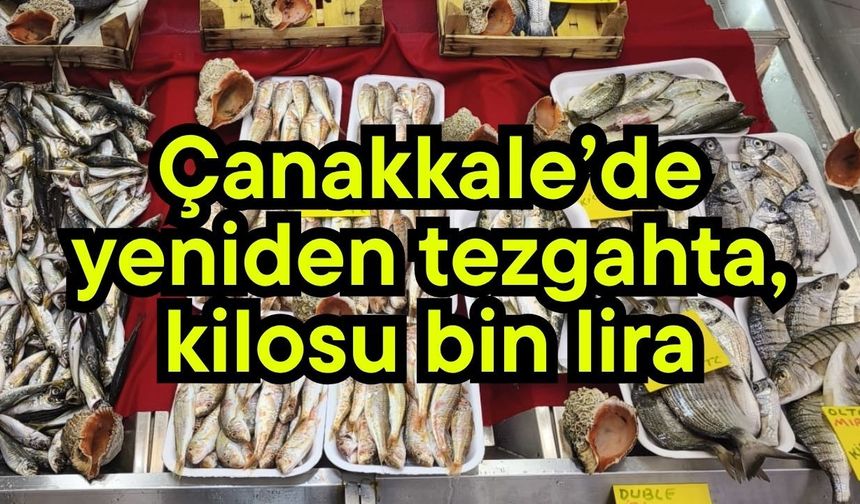 Çanakkale’de yeniden tezgahta, kilosu bin lira