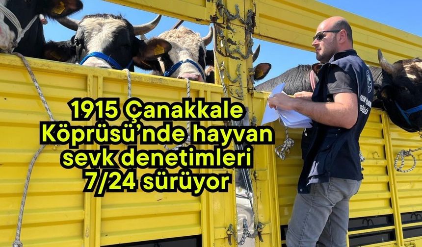 1915 Çanakkale Köprüsü’nde hayvan sevk denetimleri 7/24 sürüyor