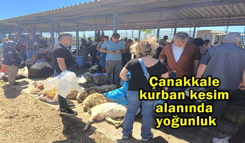Çanakkale kurban kesim alanında yoğunluk