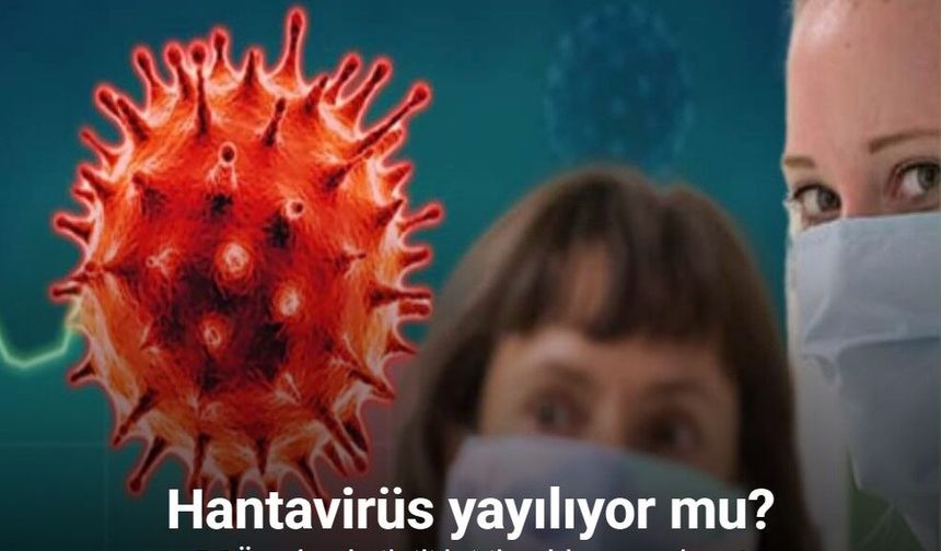 Hantavirüs yayılıyor mu?