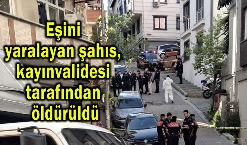 Eşini yaralayan şahıs, kayınvalidesi tarafından öldürüldü