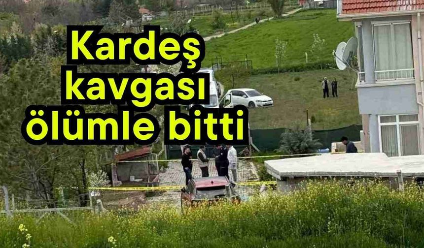 Kardeş kavgası ölümle bitti