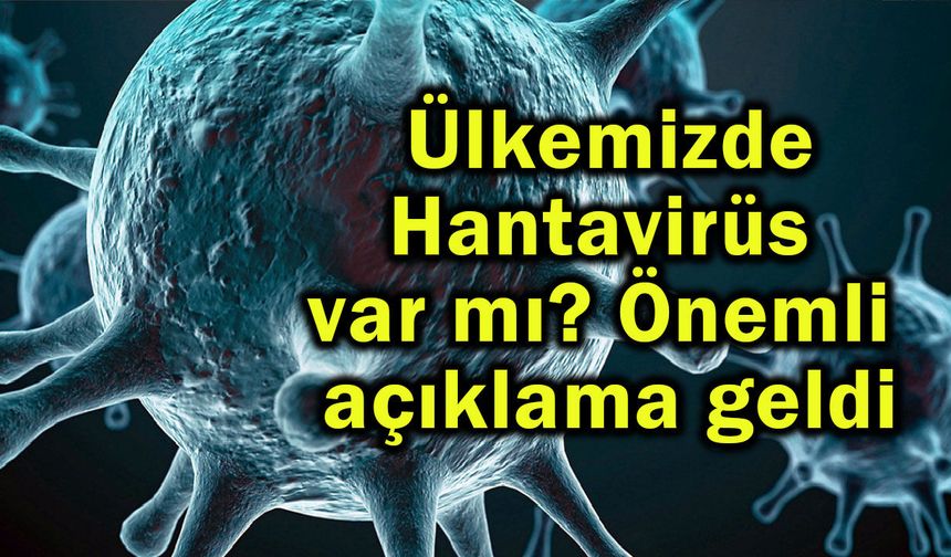 Ülkemizde Hantavirüs var mı? Önemli açıklama geldi