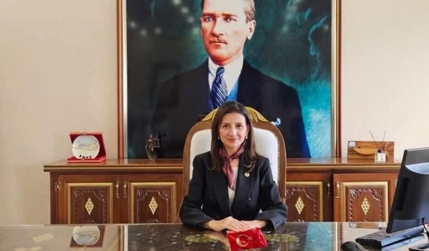 Kaymakamı Ayık’ın bulunduğu araç kaza yaptı