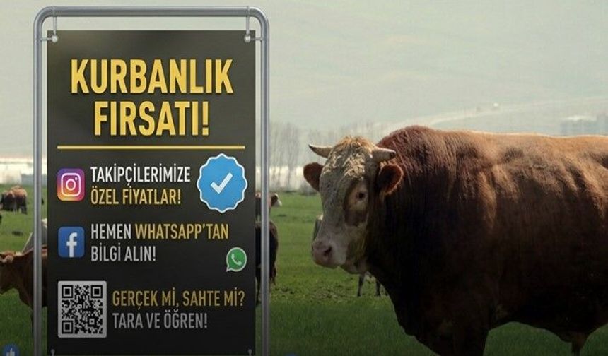 Dikkat! Kurban satışlarında sosyal medya tuzağı (Video)