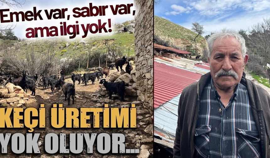Keçi Üretimi Yok Oluyor! (Video)