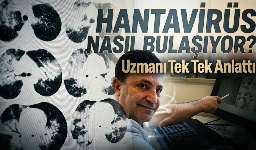 Uzmanlardan Hantavirüs Açıklaması! (Video)