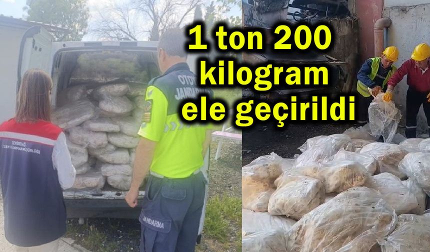 1 ton 200 kilogram ele geçirildi (Video)