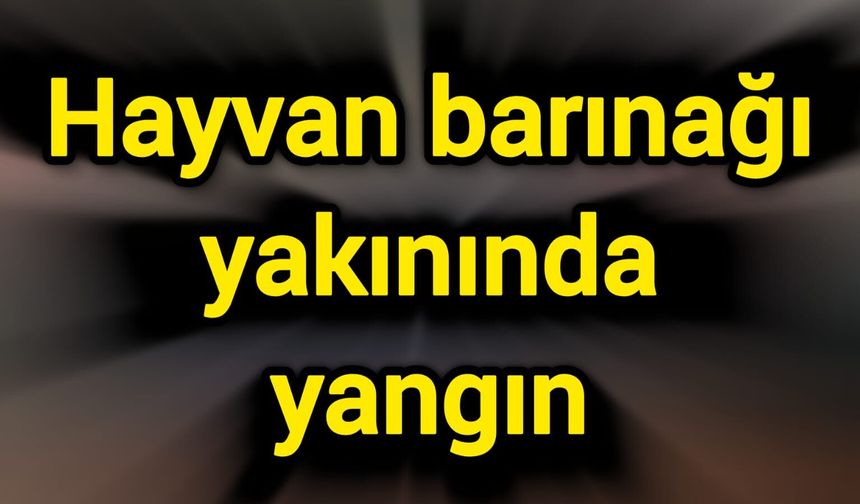 Hayvan barınağı yakınında yangın